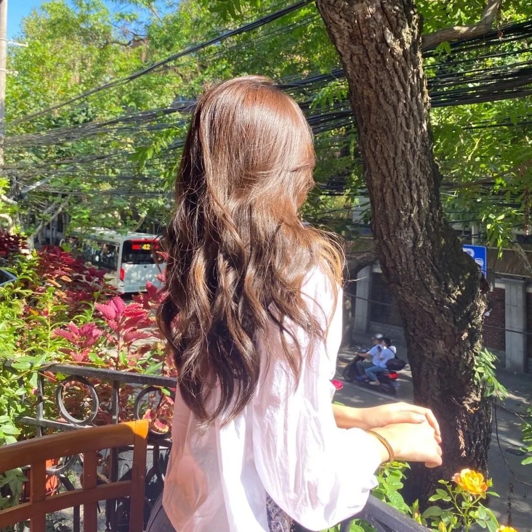 铁线蕨的忧郁